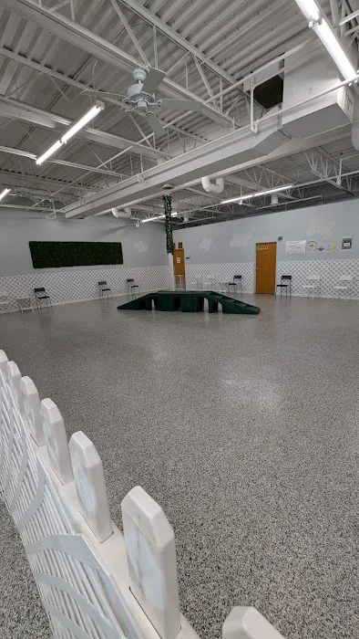 Indoor Zoomies indoor dog park 3