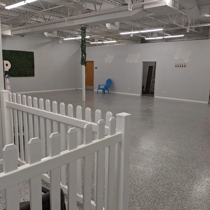 Indoor Zoomies indoor dog park 8