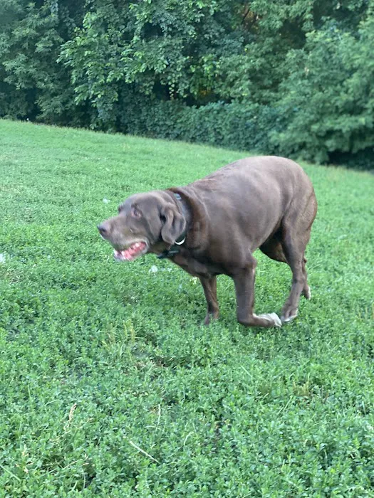 Edina Dog Park 9