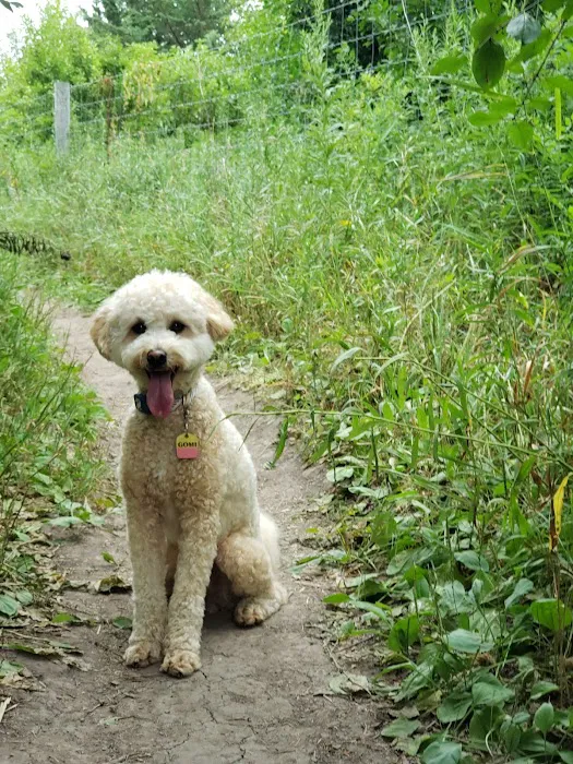 Edina Dog Park 2