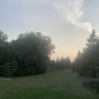 Edina Dog Park ico