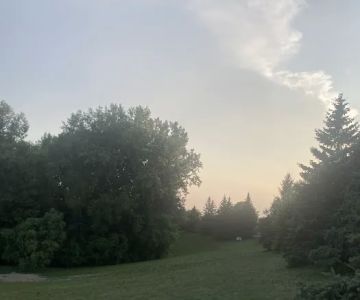 Edina Dog Park
