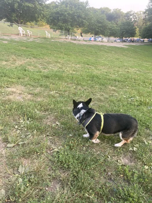 Edina Dog Park 3