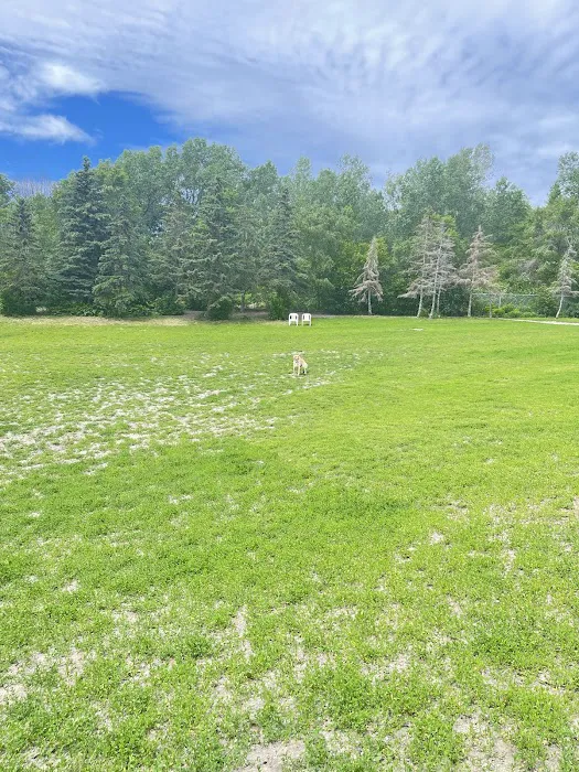 Edina Dog Park 7