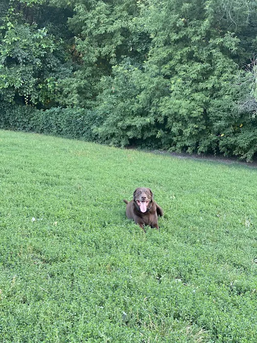Edina Dog Park 5