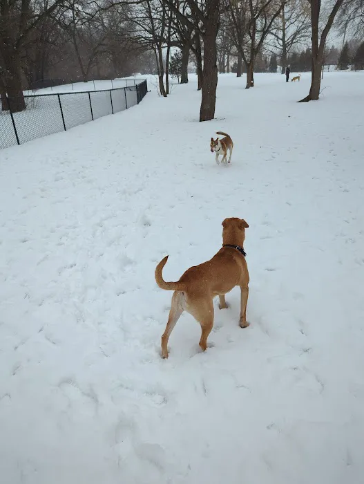 Locke County Dog Park 2