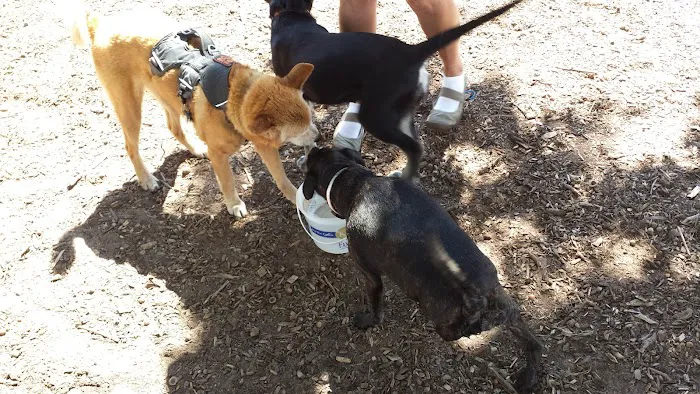Locke County Dog Park 1