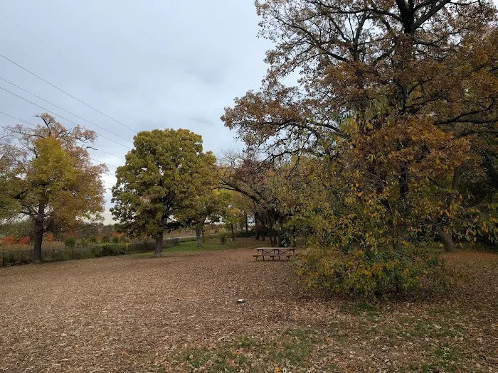 Locke County Dog Park 10