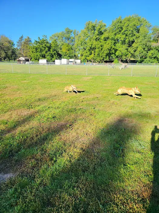 City Of Mendota Heights Off-leash Dog Area 8