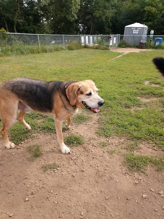 City Of Mendota Heights Off-leash Dog Area 5