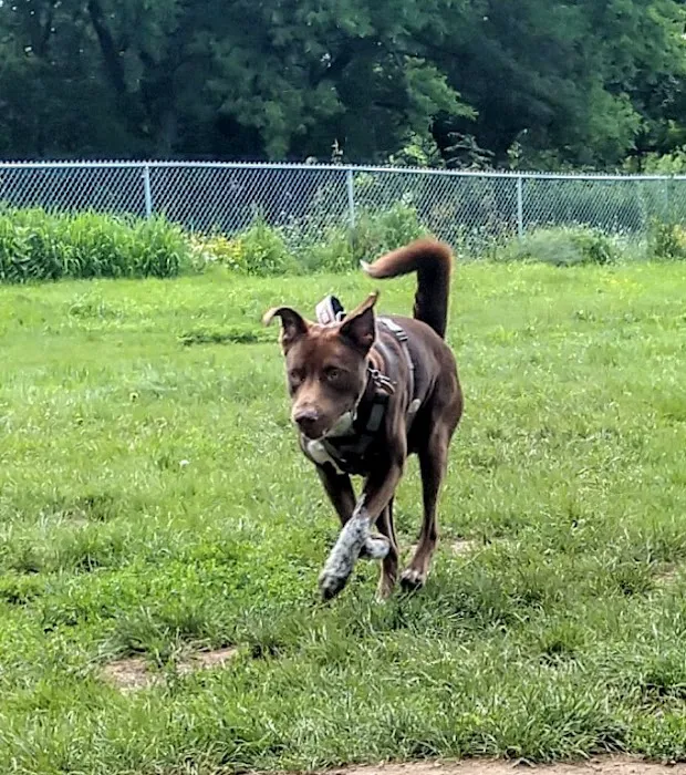 City Of Mendota Heights Off-leash Dog Area 2