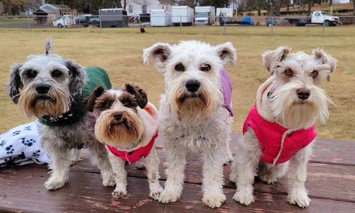 City Of Mendota Heights Off-leash Dog Area 7