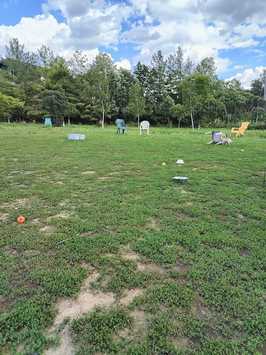 High Bridge Dog Park 1