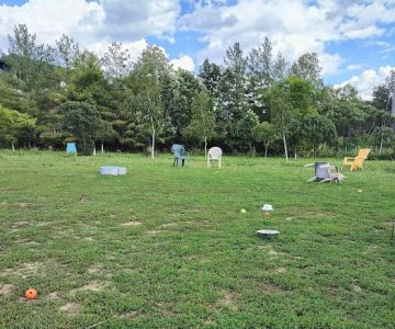 High Bridge Dog Park