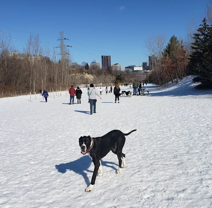 High Bridge Dog Park 10