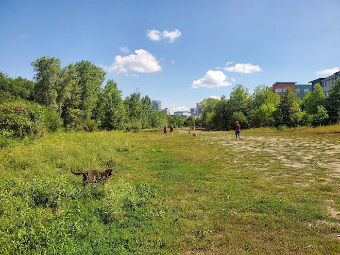 High Bridge Dog Park 5