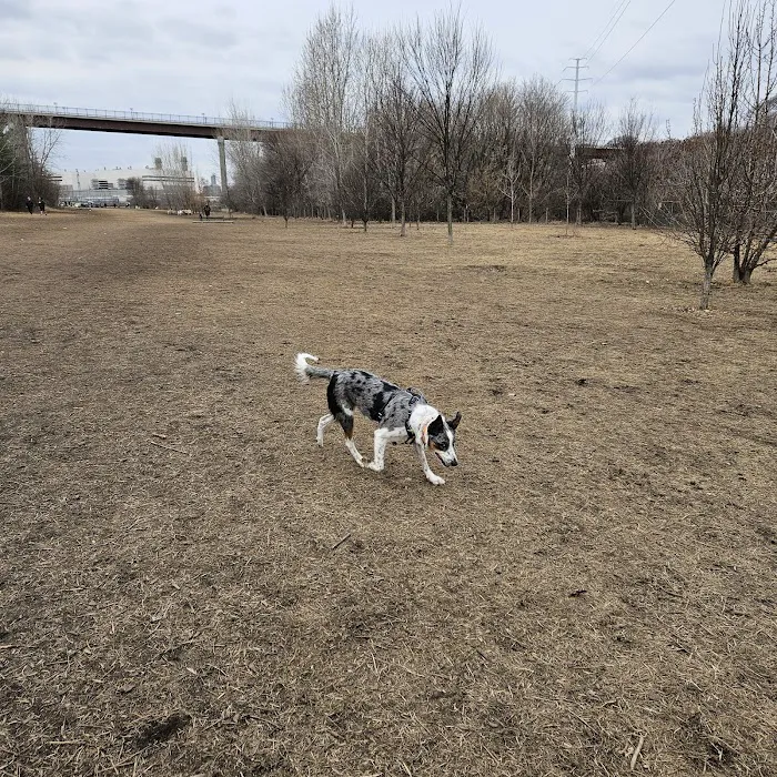 High Bridge Dog Park 9