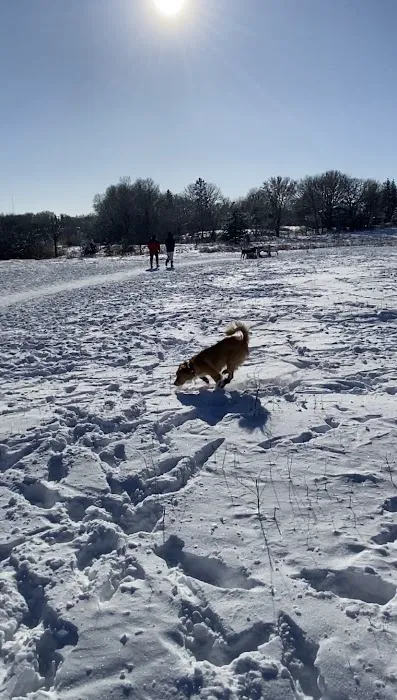 Rice Creek Off-Leash Dog Area 3