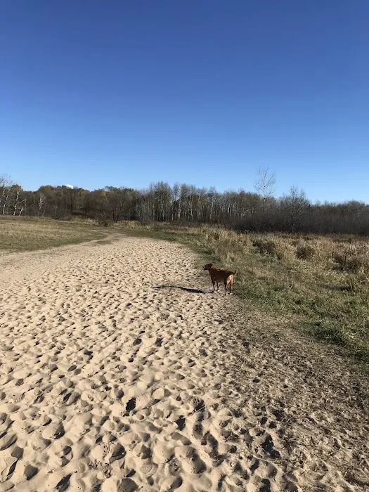 Rice Creek Off-Leash Dog Area 5