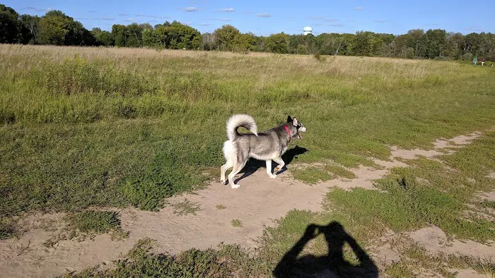 Rice Creek Off-Leash Dog Area 4