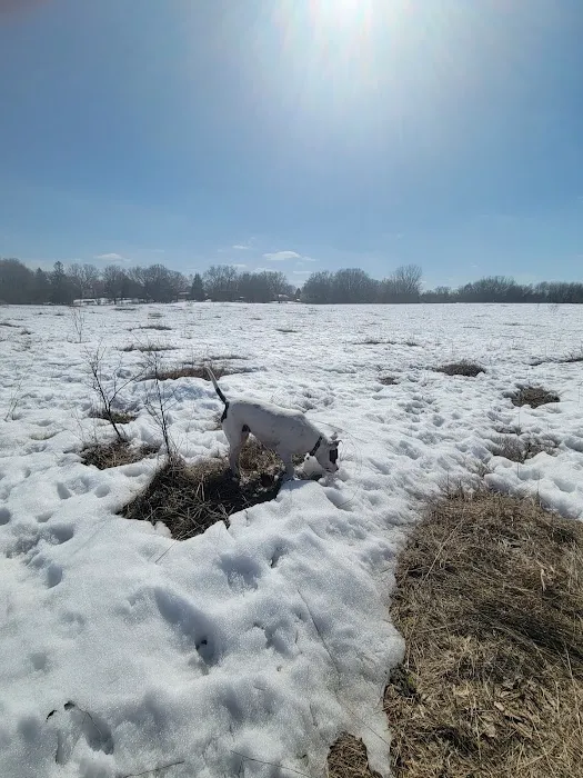 Rice Creek Off-Leash Dog Area 8