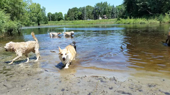 Rice Creek Off-Leash Dog Area 10