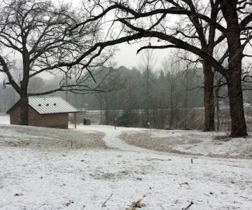 Rice Creek Off-Leash Dog Area