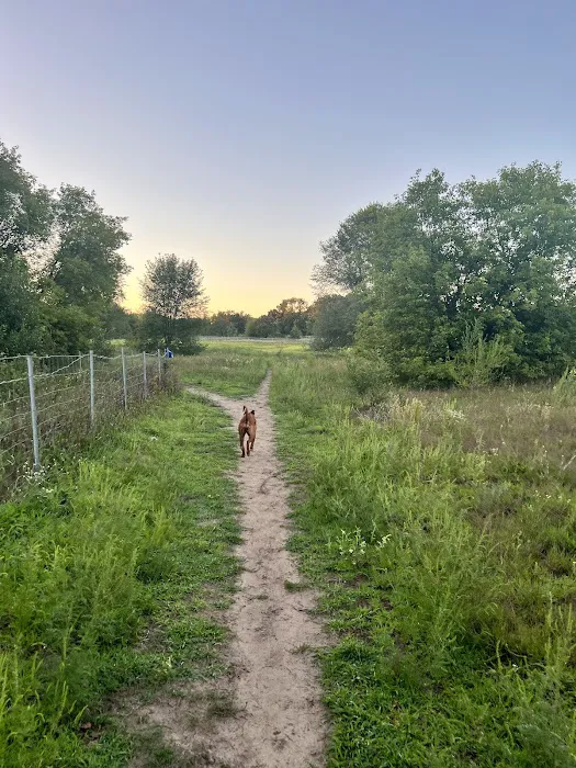 Rice Creek Off-Leash Dog Area 7