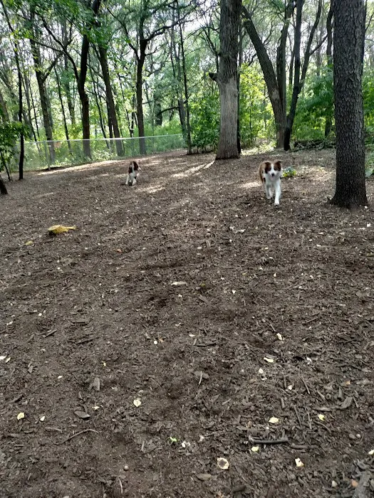 Swanson Dog Park 8