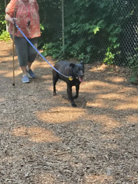 Swanson Dog Park 7