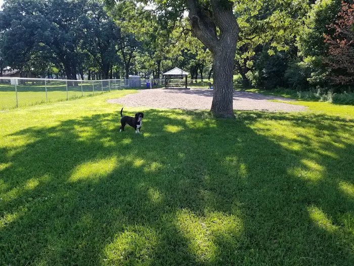 Swanson Dog Park 6