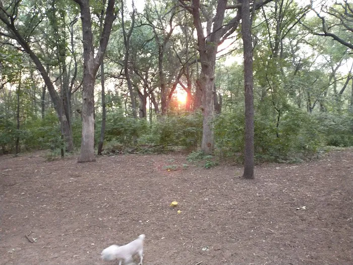 Swanson Dog Park 4