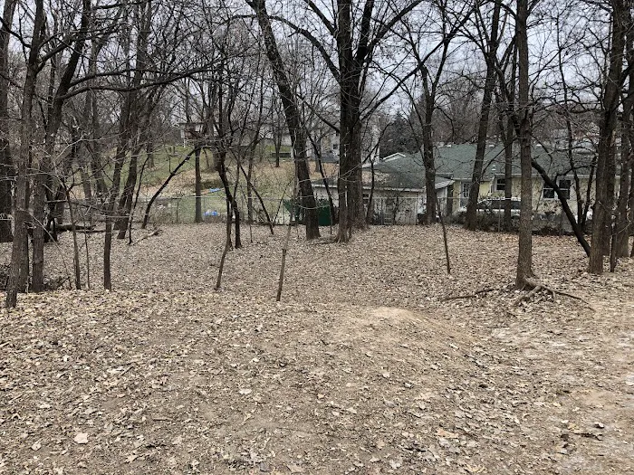 Arlington/Arkwright Off Leash Dog Park 1