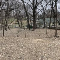 Arlington/Arkwright Off Leash Dog Park ico
