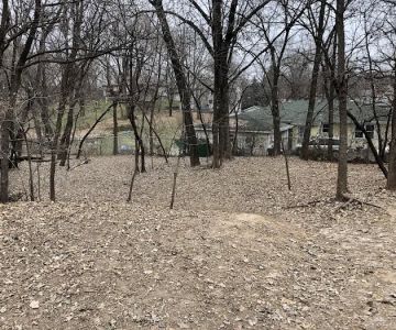 Arlington/Arkwright Off Leash Dog Park