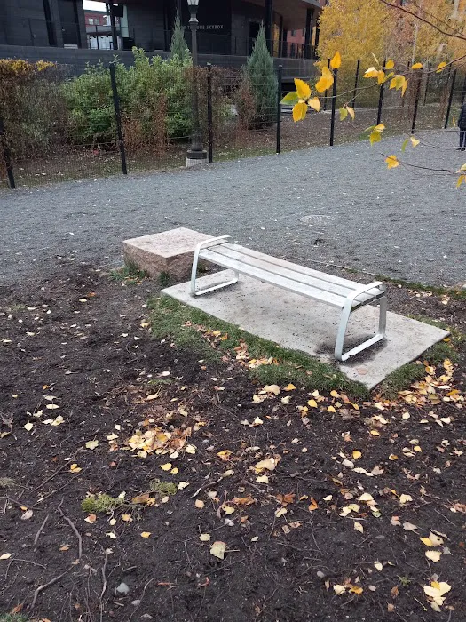 Lowertown Dog Park 5