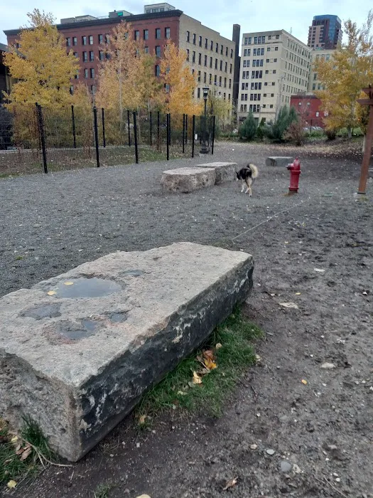 Lowertown Dog Park 6
