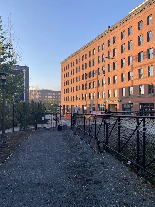 Lowertown Dog Park 9
