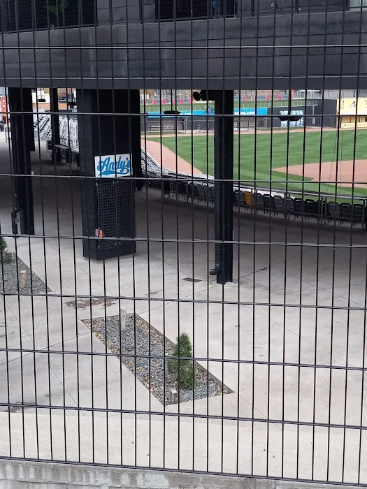 Lowertown Dog Park 2