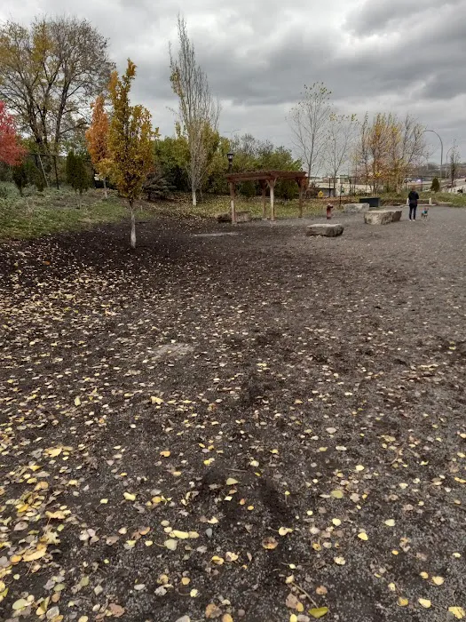 Lowertown Dog Park 8