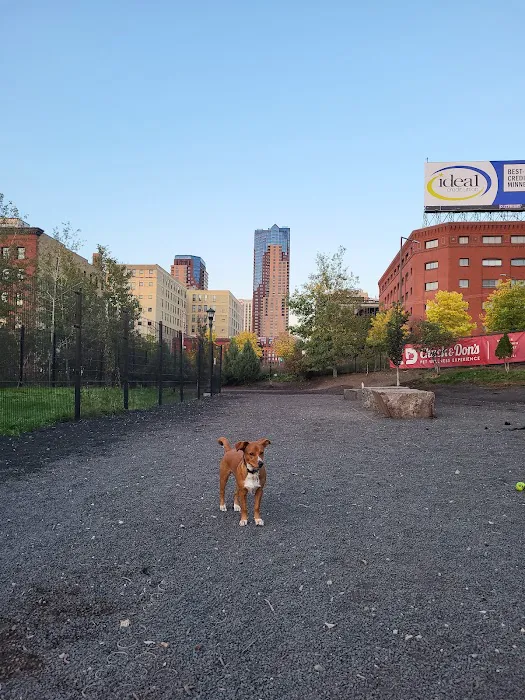 Lowertown Dog Park 10