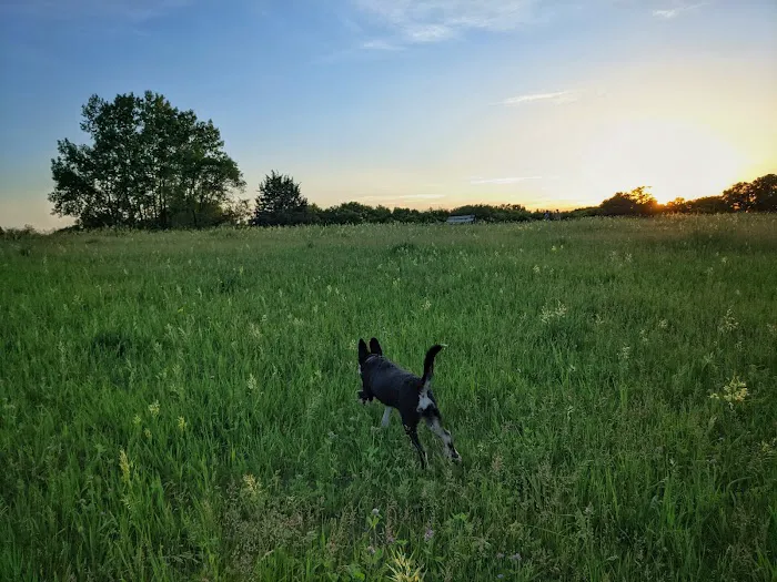 Bloomington Off-leash Dog Park 6
