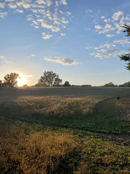 Bloomington Off-leash Dog Park 7