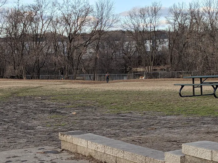 Bloomington Off-leash Dog Park 8