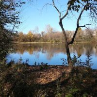 Bloomington Off-leash Dog Park ico