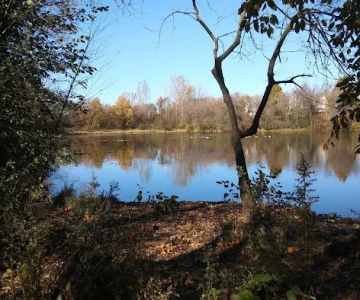 Bloomington Off-leash Dog Park