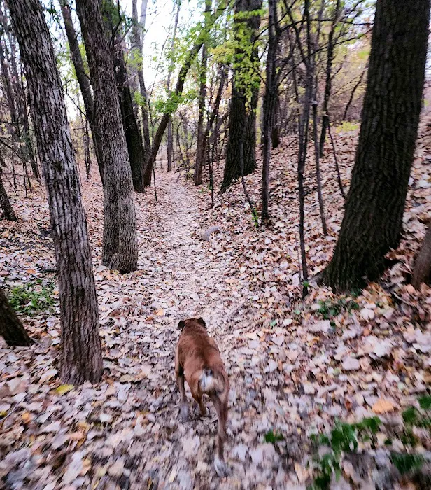 Bloomington Off-leash Dog Park 5