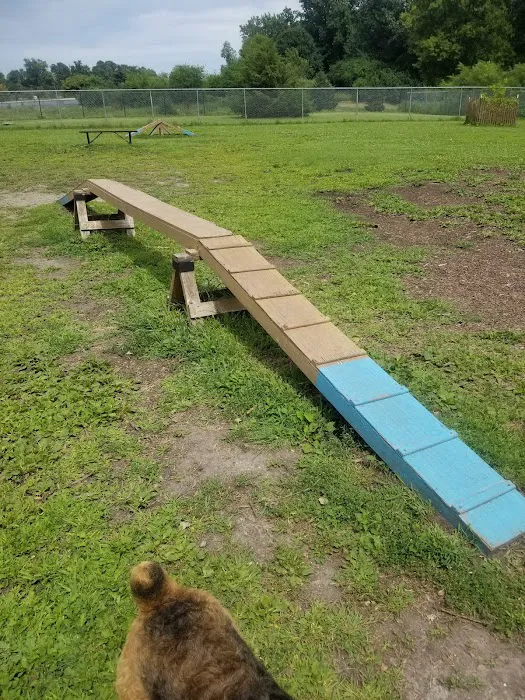 Flying Cloud Dog Park 8