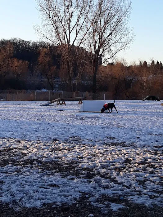Flying Cloud Dog Park 3