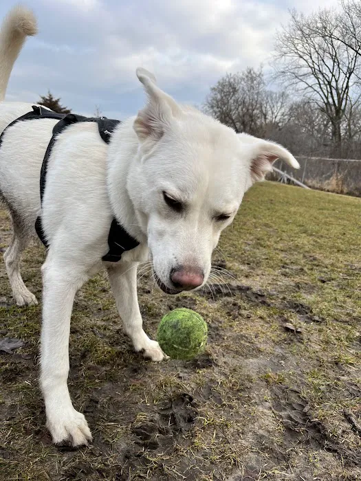 Flying Cloud Dog Park 6
